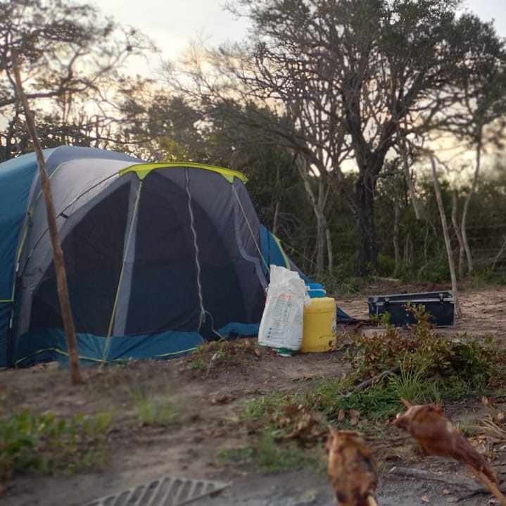 Camp tents